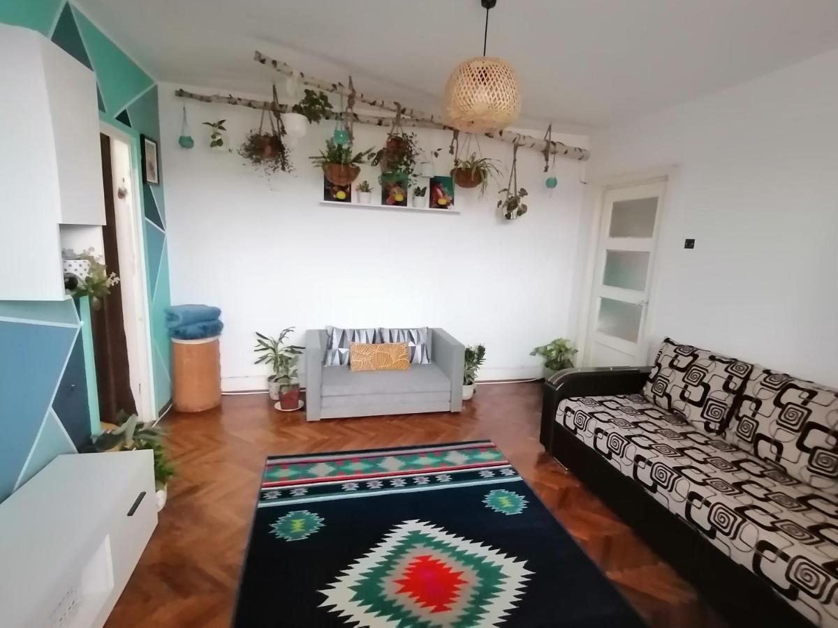 Apartament 2 cam - Petroșani - The Cosy Spot Apartment Exterior foto